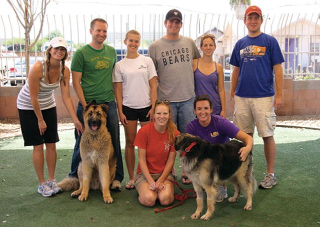 Area animal shelter in running for national $50K contest